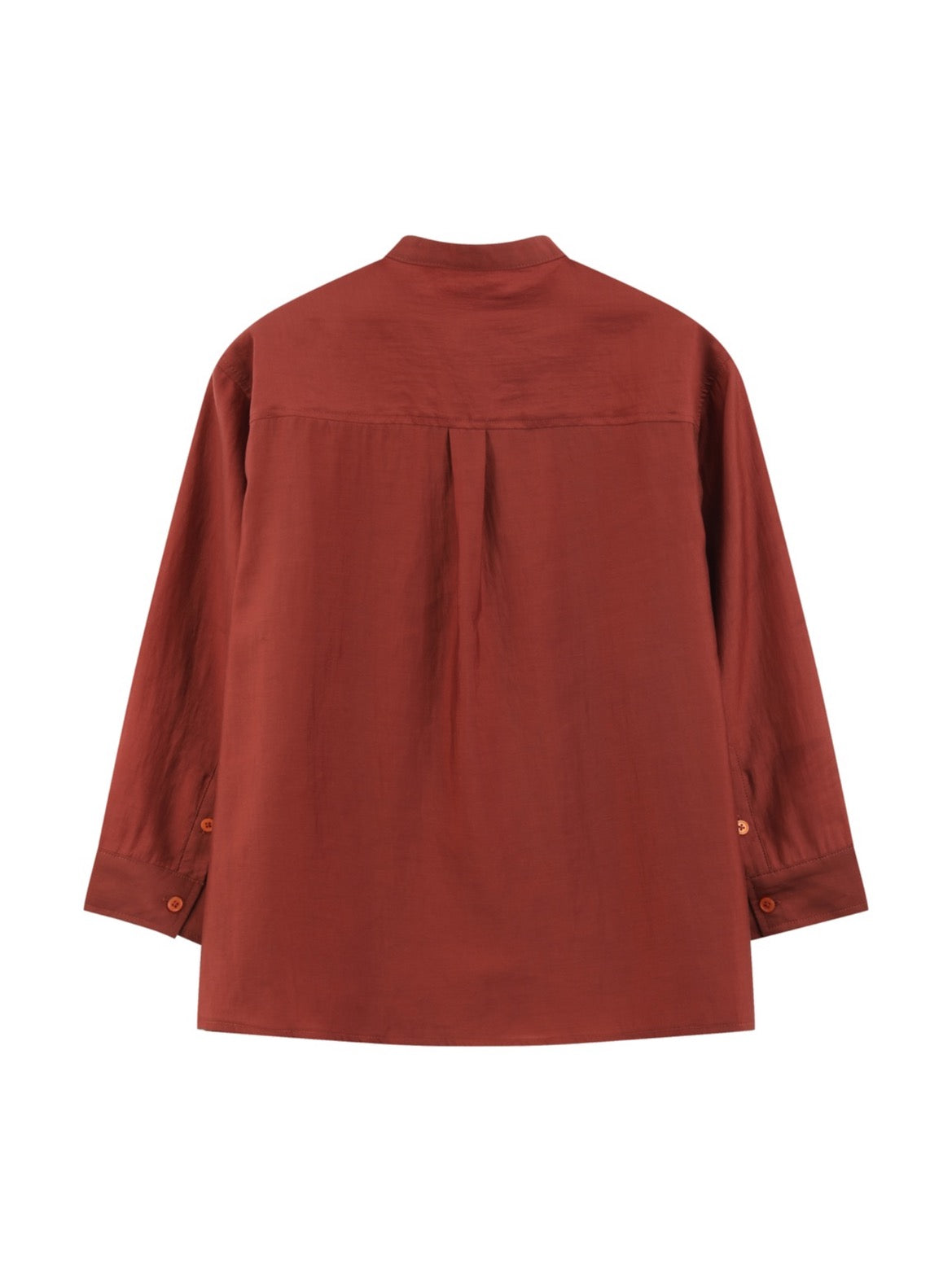 Terracotta Tie-Neck Blouse — back view